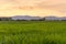 Countryside panorama at sunset in Turin on a summer day