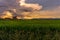 Countryside panorama at sunset in Turin on a summer day