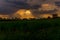 Countryside panorama at sunset in Turin on a summer day