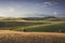 Countryside panorama in Tuscany, rolling hills and wheat fields at sunset. Santa Luce