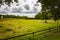 Countryside pasture field