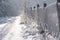 Countryside path covered with snow