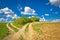 Countryside path intersection view in green nature