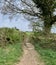 Countryside path with stile