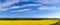 Countryside Rapeseed Flower Field Panorama