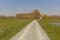 Countryside road along green meadows with trees in the flemish countyside