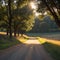 Countryside road with cypresses on sunset. Typical landscape in Tuscany, Italy. made with Generative AI