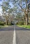 Countryside road with eucalyptus trees on sides