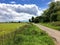 Countryside Road - Farmland