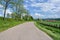 Countryside road through the fields