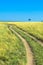 Countryside road, green grass and blue sky