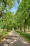 Countryside road or street leading through green trees and past agriculture fields or farm pasture. Landscape view of