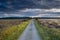 Countryside road throught marshes in morning sunlight