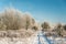 Countryside road in winter. Snowy landscape,  trees wrapped with frost.