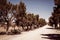 Countryside roadway on a sunny day with trees on bot sides