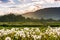 Countryside rural landscape in spring