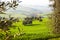 Countryside, San Quirico dÂ´Orcia, Tuscany,