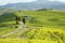 Countryside, San Quirico dÂ´Orcia, Tuscany,