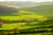 Countryside, San QuiricoÂ´Orcia , Tuscany,