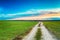 Countryside sandy road in green field. Spring