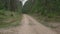 Countryside sandy road pass in evergreen forest at sunny summer day.