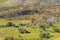 Countryside Scene Aerial View, Maldonado, Uruguay