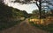 Countryside scene with dirt path and stone rubble walls and tree