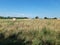 Countryside scene with hay bales