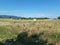 Countryside scene with hay bales