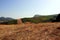 Countryside, Segesta, Sicily