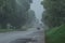 Countryside slope road in fog