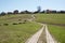 Countryside - small road and track is leading to village with farms and houses