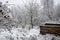 Countryside in the snow. Picturesque snowy winter landscape. Snow on trees and bushes