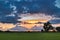 Countryside sunset with single tree greenery with some colourful clouds