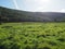 Countryside in Tintern