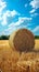 Countryside tranquility Hay bale in a field under the sky