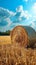 Countryside tranquility Hay bale in a field under the sky