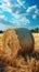 Countryside tranquility Hay bale in a field under the sky