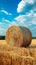 Countryside tranquility Hay bale in a field under the sky