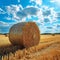 Countryside tranquility Hay bale in a field under the sky