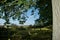 Countryside through the trees