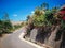 Countryside Uphill Bend Road With Various Roadside Plants At Ularan Village