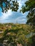 Countryside view coming through green bushes to river on autumn day