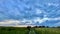 Countryside view of field with tall meadow and road.