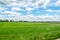 Countryside view with green fields, blue sky, and white clouds