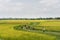 Countryside view of rice paddy field in Vietnam. Farmer taking water buffaloes home