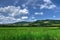 Countryside view of Tuscany, Volterra, Italy