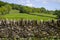 Countryside View in the UK