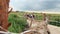 Countryside villagers walk bridge, field for ethnic festival old