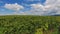 Countryside Vineyard Agriculture Landscape Winery Harvest Ukraine Europe